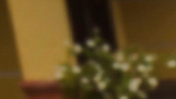 Las autoridades no especificaron en que estados detuvieron a los primeros migrantes para deportarlos.