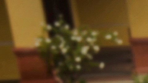 Las autoridades no especificaron en que estados detuvieron a los primeros migrantes para deportarlos.