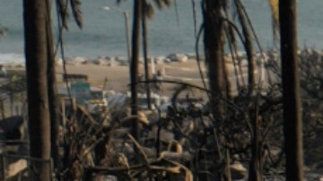 Las autoridades señalaron que estas cifras podrían aumentar.