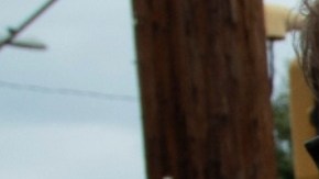 La orden que firmó Trump dicta que en EE.UU. solo se reconocerán dos sexos: femenino y masculino.