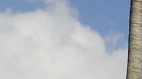 La policía de Palm Beach no compartió cuáles eran los motivos del sospechoso de ingresar a la residencia del presidente.