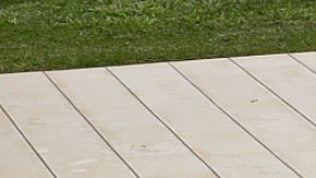 El padrastro dijo a las autoridades que lo sumergía en el agua porque era parte de enseñarlo a nadar.