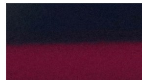 La Casa Blanca confirmó que el gobierno de Colombia aceptó las condiciones para recibir a los migrantes deportados.