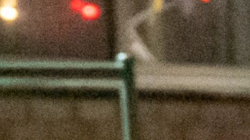 Países de América Latina tienen programas para enfrentar el regreso de miles de migrantes.