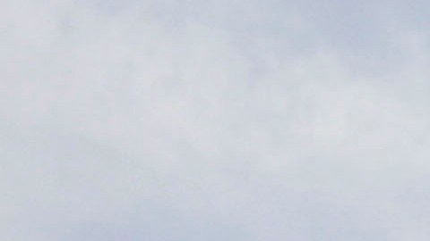 Las causas exactas del fallecimiento aún no han sido determinadas.