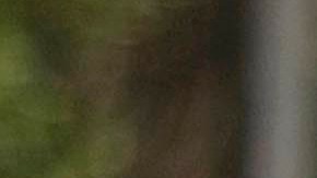 Huelga estudiantil en la UPR de Rio Piedras