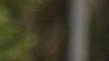 Huelga estudiantil en la UPR de Rio Piedras