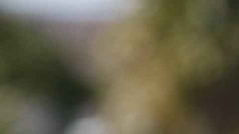 La revocación afecta a la extensión de 18 meses.