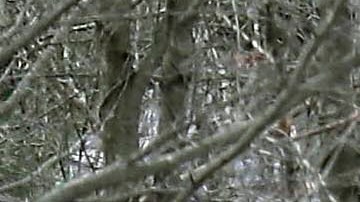 Los cazadores, en general, han encontrado con restos humanos en varios lugares de Estados Unidos.