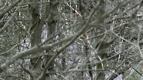 Los cazadores, en general, han encontrado con restos humanos en varios lugares de Estados Unidos.