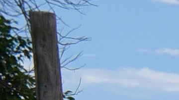 Vista del mar desde Cabo Rojo, Puerto Rico
