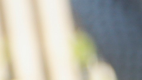 Un testigo declaró que la camioneta del hombre baleado choco de frente con un sedán Kia en medio del tiroteo.