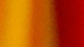 Homan enfatizó que buscan centrarse en la seguridad pública.