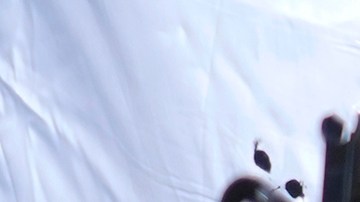 Ryan Corbett es la identidad de uno de los estadounidenses liberado.