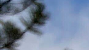 El novio de la mujer fue hallado muerto en la escena.