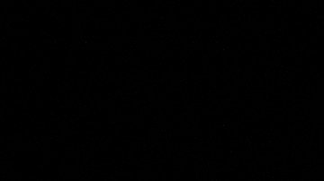 Partido entre Capitanes de CDMX y Windy City Bulls.