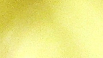 Ushakov aseguró que Washington aún no ha contactado con la parte rusa para organizar esa llamada.