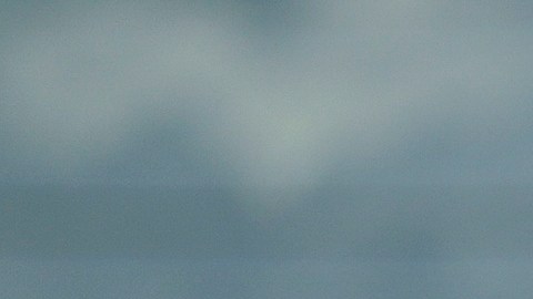 Actualmente, los migrantes están bajo una situación difícil ante el regreso de Donald Trump al poder.