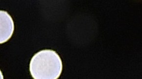 Neymar y Al Hilal llegaron a un acuerdo para rescindir su contrato.