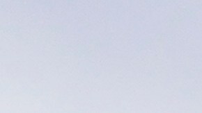 Hemphill fue informada de su indulto el martes.