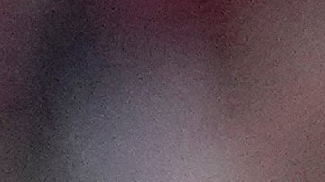 Marcelo se encuentra sin equipo actualmente.