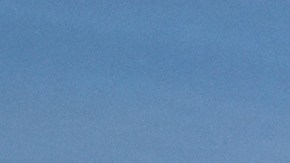 Allsop enfrenta cargos por conducir bajo la influencia del alcohol.