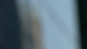 Hasta el momento no se han realizado arrestos por este caso.