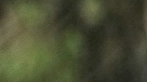 Ecuador recibirá a Venezuela por las eliminatorias mundialistas en Quito