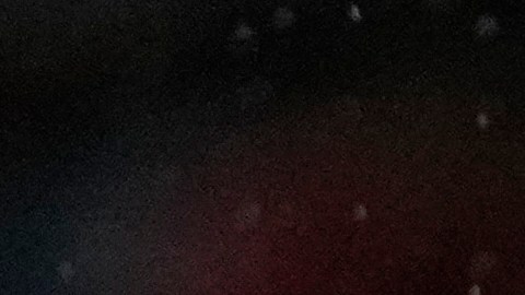 Telasco Segovia jugará en la MLS.