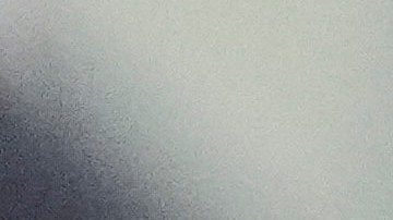 Jasson Dominguez durante la temporada 2023 de Grandes Ligas.