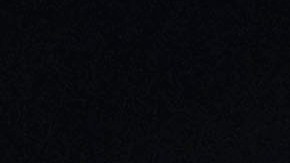 Petro señaló que se debe establecer un trato digno a los migrantes.