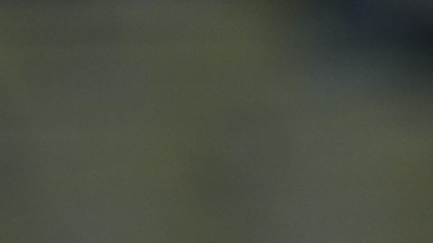 Luisangel Acuña fue uno de los prospectos que debutó en 2024 con los Mets.