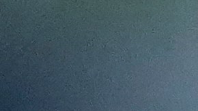 Neymar Jr. durante las Eliminatorias Sudamericanas al Mundial 2026 con Brasil.