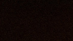 Elon Musk, CEO de Tesla Cybertruck.