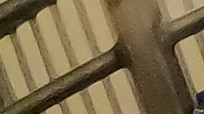 Prueba de antígenos para detectar gripe aviar