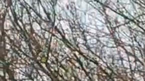 Este domingo las autoridades de Kiev informaron de que habían lanzado una nueva ofensiva desde varias direcciones en la región rusa de Kursk.