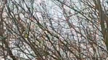 Este domingo las autoridades de Kiev informaron de que habían lanzado una nueva ofensiva desde varias direcciones en la región rusa de Kursk.