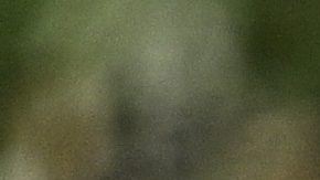 Tiger Woods gana $10 millones de dólares por ser el jugador más influyente del 2024