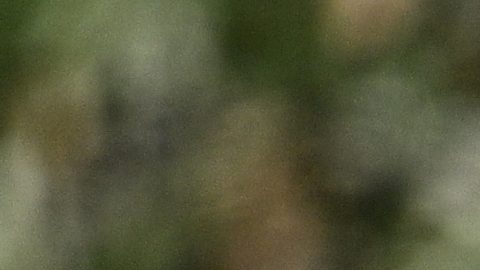 Tiger Woods gana $10 millones de dólares por ser el jugador más influyente del 2024