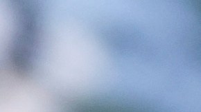 Investigadores descubrieron una bandera del Estado Islámico.