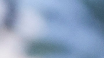 Investigadores descubrieron una bandera del Estado Islámico.