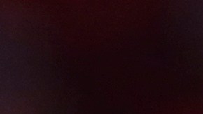 NBA: Investigan a Terry Rozier por supuestas apuestas ilegales