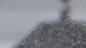 Washington D.C. podría experimentar más de 21 cm de nieve.