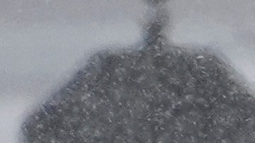 Washington D.C. podría experimentar más de 21 cm de nieve.