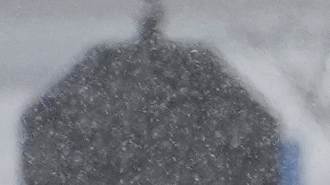 Washington D.C. podría experimentar más de 21 cm de nieve.