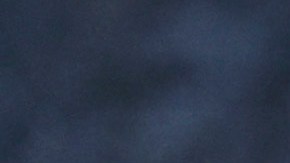 Carter murió el 29 de diciembre a los 100 años.