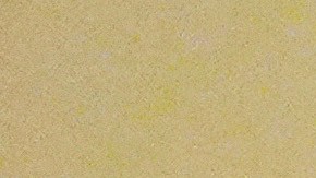 Biden aprovechará de asistir al funeral de Jimmy Carter este jueves.