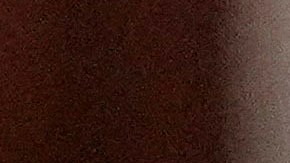 El Partido Republicano, al que pertenece Trump, cuenta con mayoría en ambas cámaras.