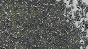 Ciudades como Minneapolis podrían sentir temperaturas de -30 grados.