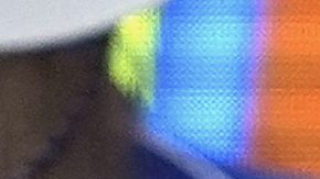 Daniil Medvedev se muestra frustrado ante Kasidit Samrej en la primera ronda del Australian Open 2025.